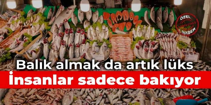 Balık almak da artık lüks: İnsanlar sadece bakıyor