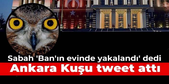 Sabah 'Ban'ın evinde yakalandı' dedi, Ankara Kuşu tweet attı