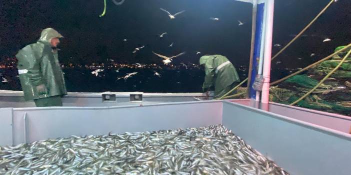 Marmara Denizi'nde balıkçıklara denetleme: Standarda uymayan balığa el konuldu