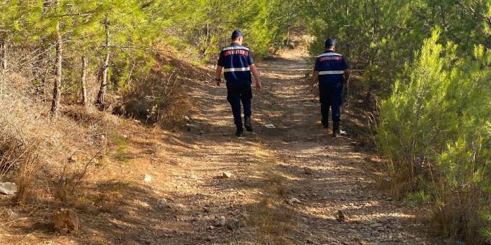 Muğla'da orman yangını riskine karşı teyakkuz