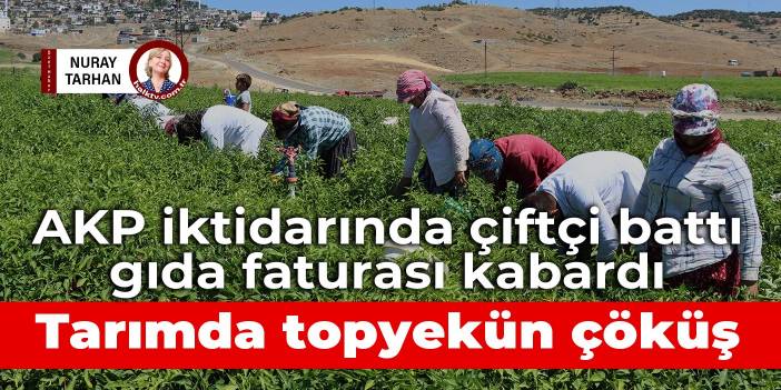 AKP iktidarında çiftçi battı, gıda faturası kabardı: Tarımda topyekün çöküş