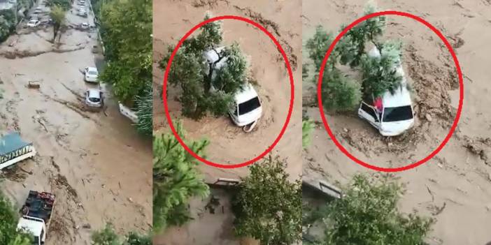 Zeytin ağacı bir aileyi kurtardı