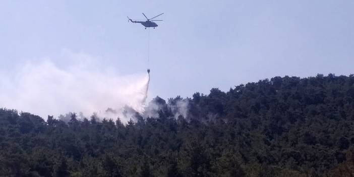 Düşen yıldırım 2 hektar ormanı kül etti