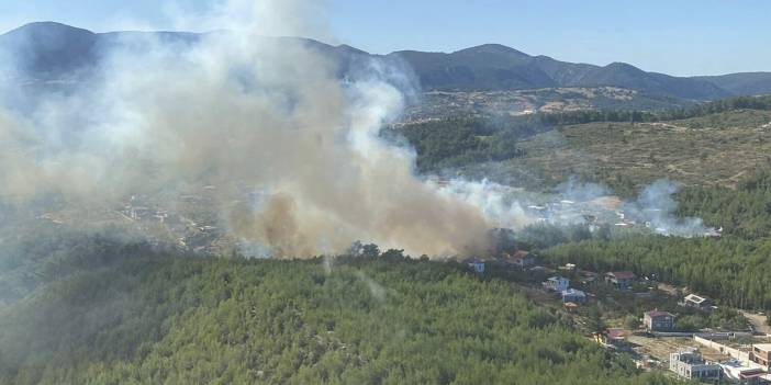 İzmir'de orman yangını