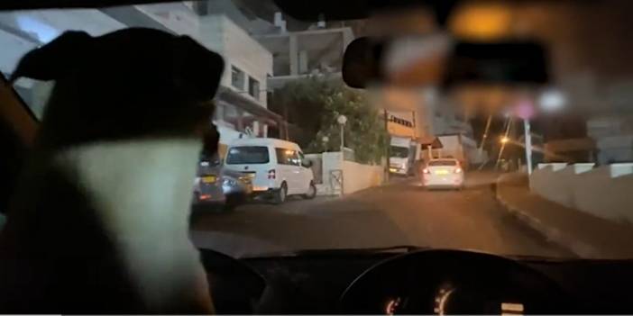 Köpeğine araç kullandıran adam tutuklandı