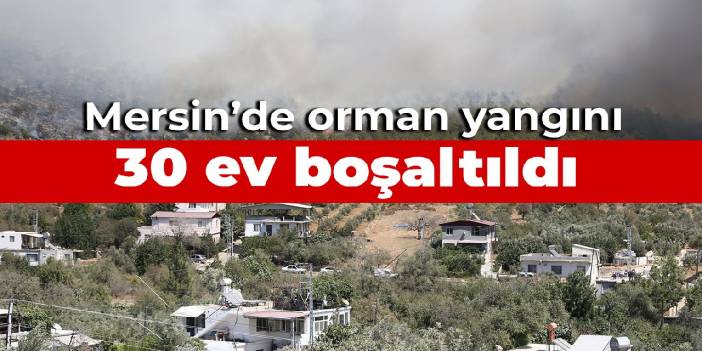 Mersin'de orman yangını