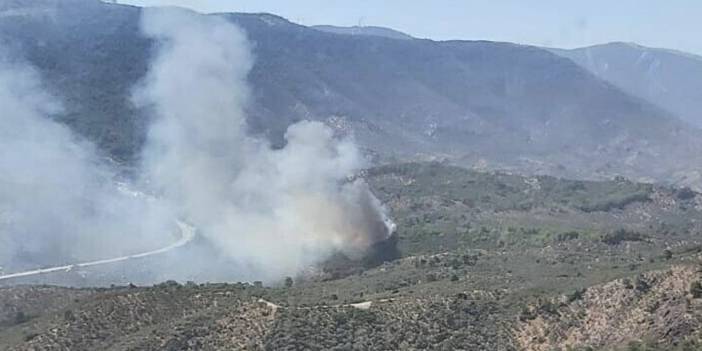 Milas'ta zeytinlik yangını makiliğe sıçradı
