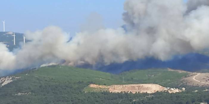 Manisa'da orman yangını
