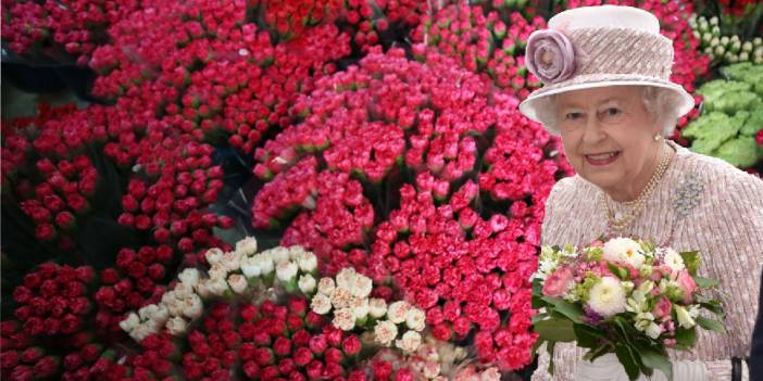 Kraliçe'nin cenazesine Türkiye'den 1,5 milyon karanfil