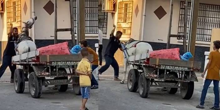 Atı döven kişi yakalandı