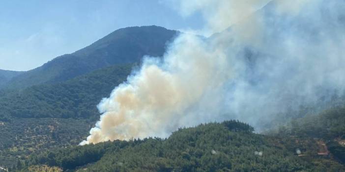İzmir'de orman yangını