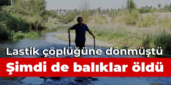 Atık lastik çöplüğüne dönmüştü: Aynı derede balık ölümleri