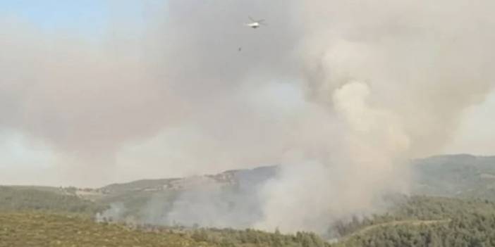 Bursa’da orman yangını