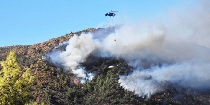 Marmaris yangınında 1 arıcı gözaltında
