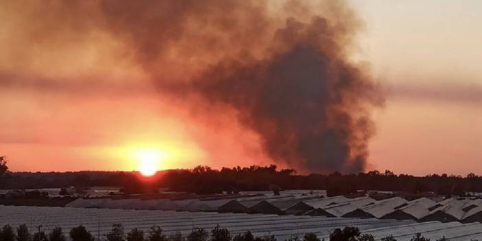 Kaş'ta orman yangını