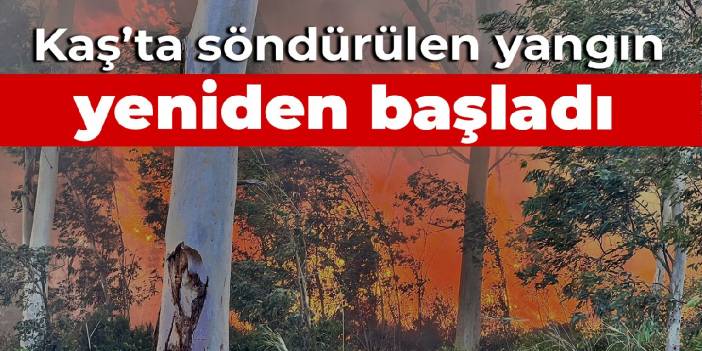 Kaş'ta söndürülen yangın yeniden alevlendi