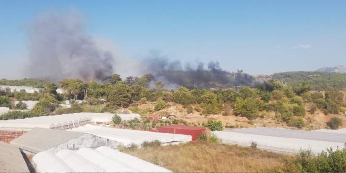 Antalya'da bir yangın daha