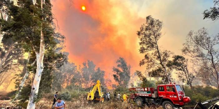 Antalya'daki orman yangınının bilançosu belli oldu