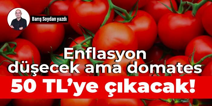 Enflasyon düşecek ama domates 50 TL’ye çıkacak!