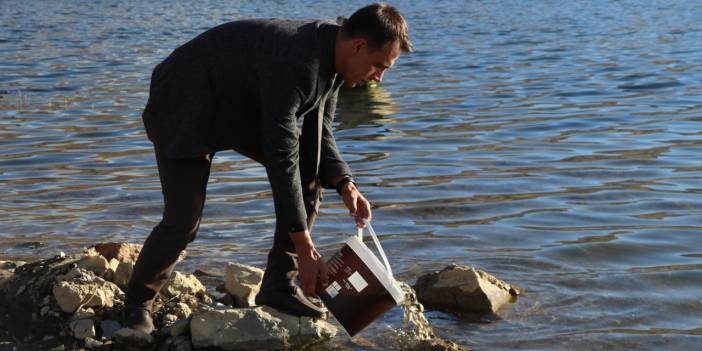 Binlerce sazan yavrusu göletle buluştu