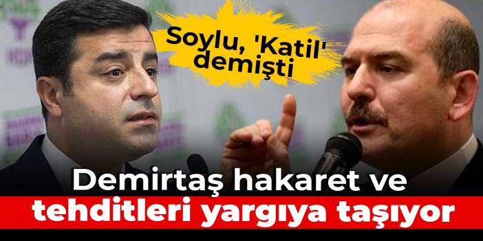 Soylu, 'Katil' demişti: Demirtaş hakaret ve tehditleri yargıya taşıyor