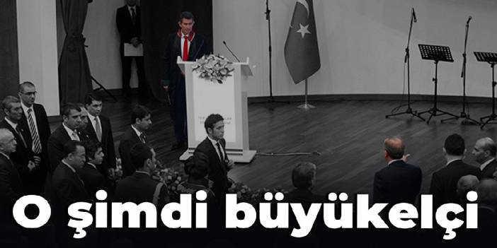 Metin Feyzioğlu artık büyükelçi