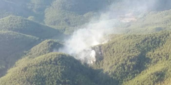 Dalaman'da orman yangını