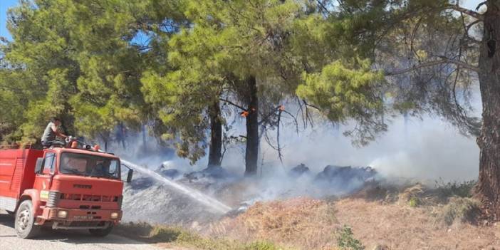 Antalya'da orman yangını