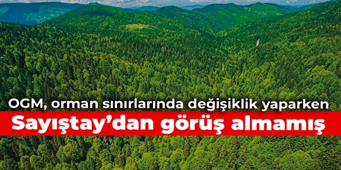 OGM, orman sınırlarında değişiklik yaparken Sayıştay’dan görüş almamış