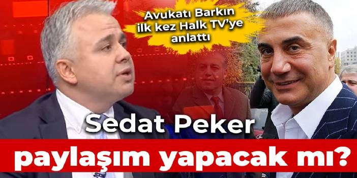 Will Sedat Peker make a new post?  His lawyer Ersan Barkın answered questions on Halk TV