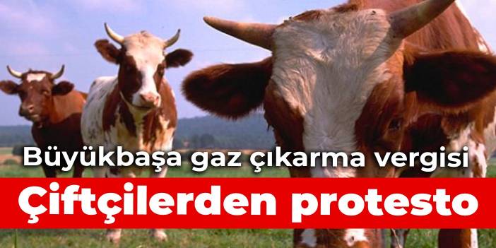 Cattle gas extraction tax: Protest from farmers