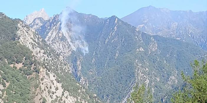 Osmaniye'de orman yangını