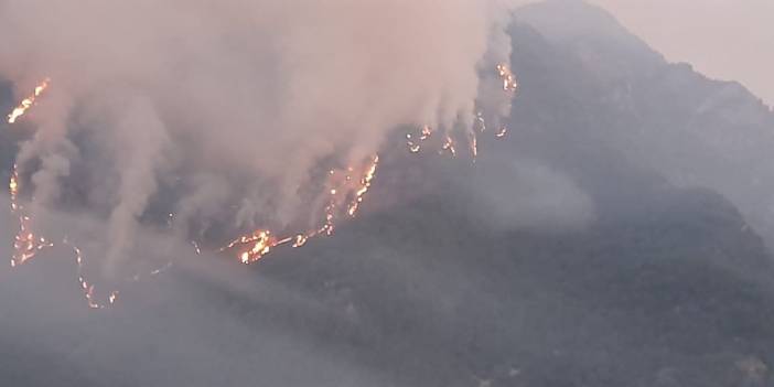 Osmaniye'deki orman yangınında 3'üncü gün: Havadan müdahale sürüyor