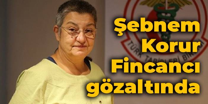 TTB Başkanı Şebnem Korur Fincancı gözaltına alındı