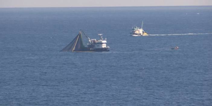 İstanbul Boğazı için 6 Kasım tartışması: Aşırı avcılığa yol açacak