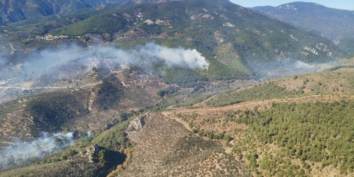 Kazdağları'nda yangın
