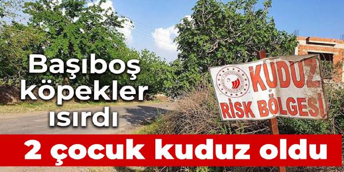 Bitlis’te kuduz alarmı: İki çocuk Ankara’ya sevk edildi