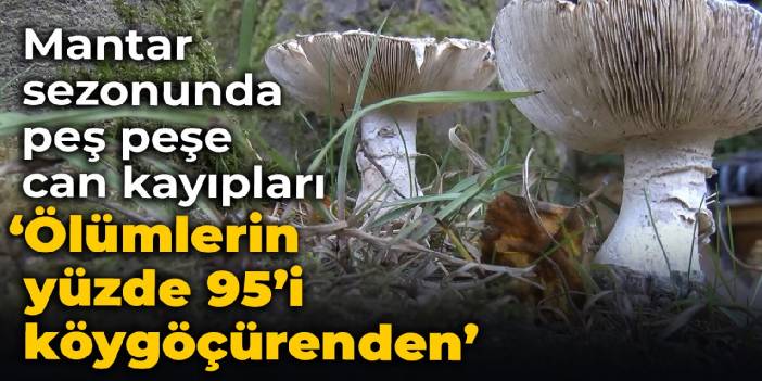Mantar sezonunda peş peşe can kayıpları: Ölümlerin yüzde 95'i köygöçürenden