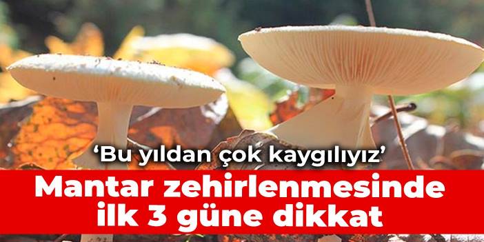 Mantar zehirlenmesinde ilk 3 güne dikkat