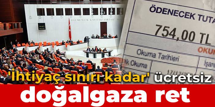 'İhtiyaç sınırı kadar' ücretsiz doğalgaz önerisine ret