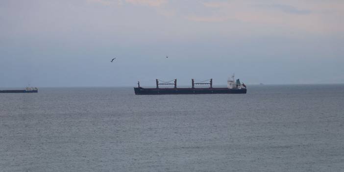 Tekirdağ'da karaya oturan yük gemisi kurtarıldı