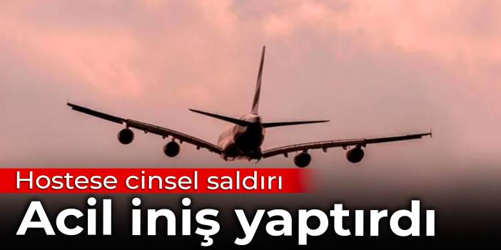 Hostese cinsel saldırı acil iniş yaptırdı