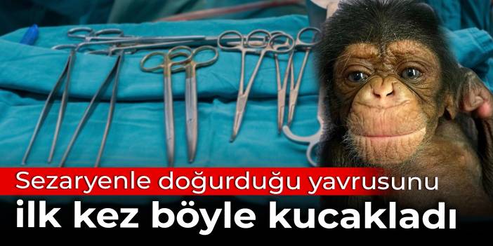 Sezaryenle doğurduğu yavrusunu ilk kez böyle kucakladı
