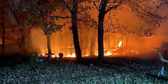 Gebze'de anız yangını ağaçlara sıçradı