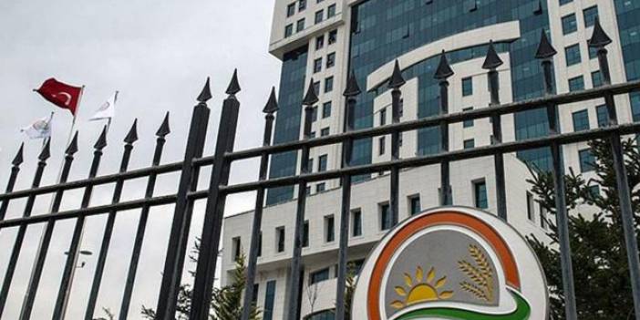 Tarım ve Orman Bakanlığı: Konya'daki barınağın rutin denetimlerinde olumsuzlukla karşılaşılmadı