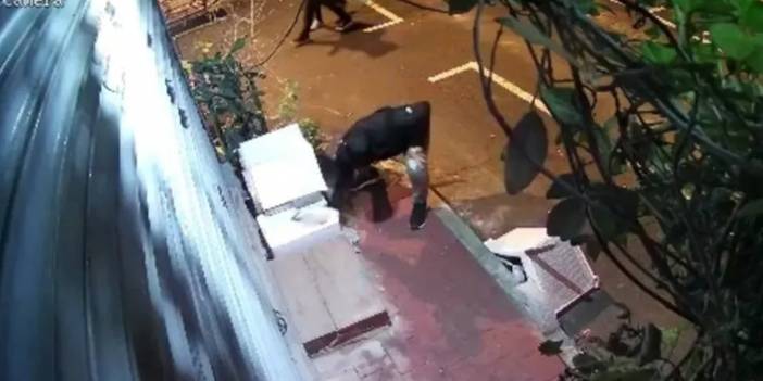 Hayvana şiddet bitmiyor: İçinde kedi olan yuvayı parçaladı