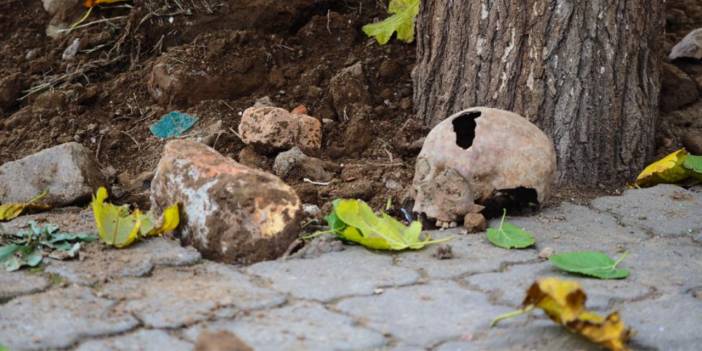 Hafriyat çalışmasında kafatası ve kemik parçaları bulundu