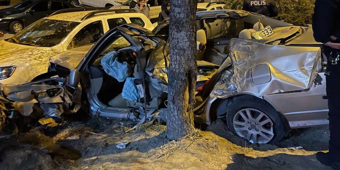 Ağaca çarpan araçtaki 2 kişi yaralandı