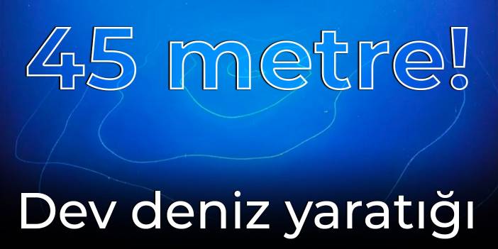 45 metre: Okyanusta dev yaratık