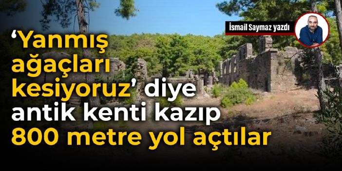 Yanmış ağaçları kesiyoruz diye antik kenti kazıp 800 metre yol açtılar
